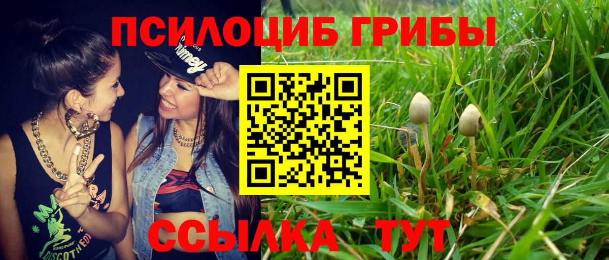 Галлюциногенные грибы MAGIC MUSHROOMS Набережные Челны