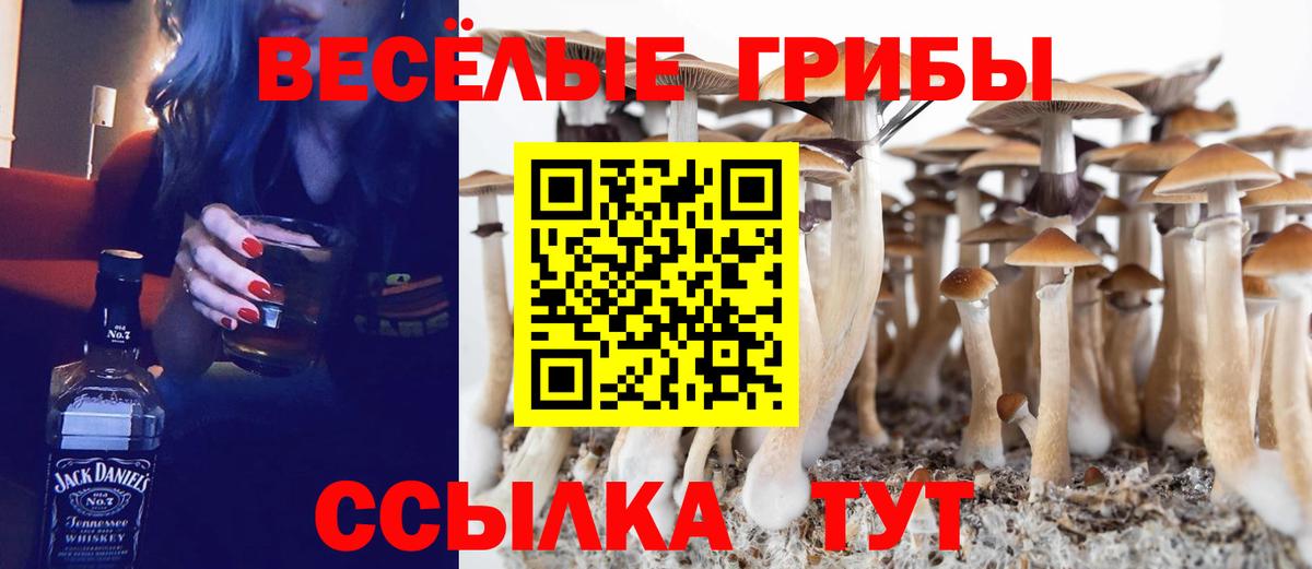 Псилоцибиновые грибы GOLDEN TEACHER  Вход с VPN  Набережные Челны 